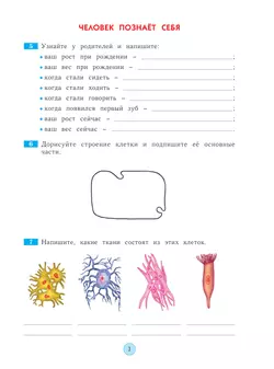 Окружающий мир. Рабочая тетрадь. 4 класс 37