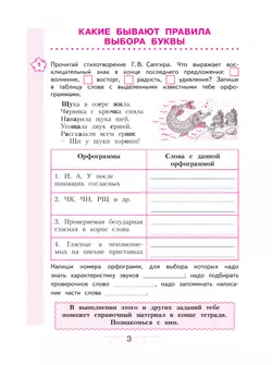 Русский язык. Я пишу грамотно. 4 класс (формирование и мониторинг орфографической грамотности) 13