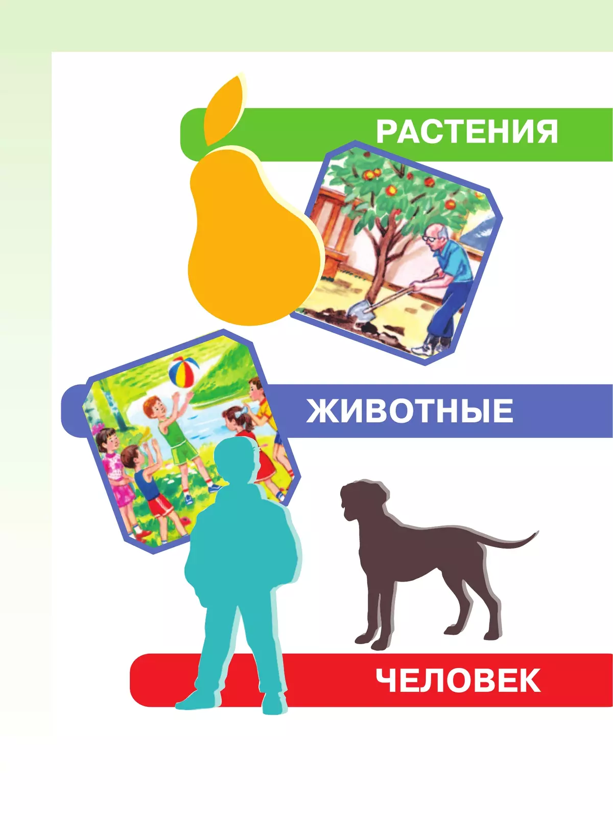 Мир природы и человека. 2 класс. Учебник. В 2 частях. Часть 2 (для обучающихся с интеллектуальными нарушениями) 3