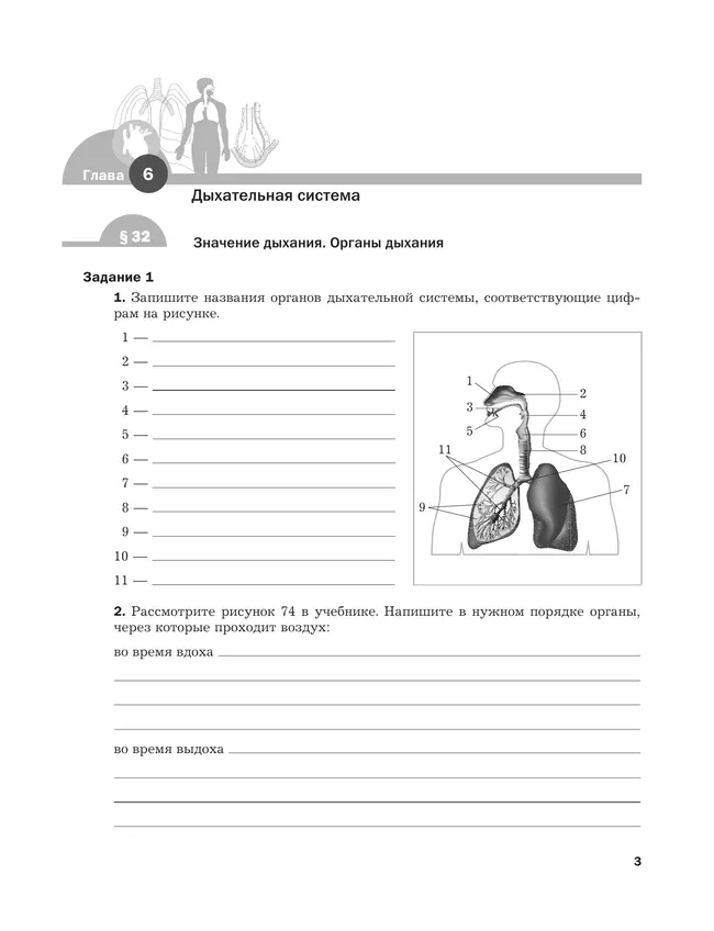 Биология. 8 класс. Рабочая тетрадь. В 2 ч. Часть 2 3