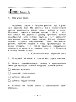 Русский язык. 4 класс. Тетрадь для контрольных работ 17