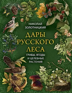 Дары русского леса. Грибы, ягоды и целебные растения 1