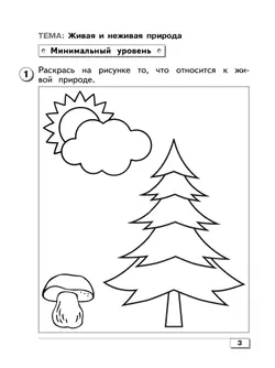 Мир природы и человека. 1 класс. Проверочные работы (для обучающихся с интеллектуальными нарушениями) 14