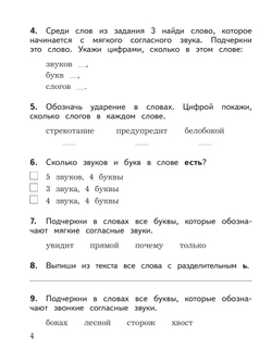 Русский язык: предварительный контроль, текущий контроль, итоговый контроль. 2 класс 9