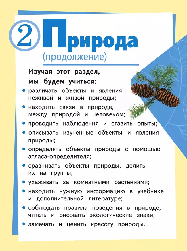 Окружающий мир. 2 класс. Учебное пособие. В 4 ч. Часть 2 (для слабовидящих обучающихся) 14