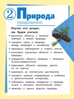 Окружающий мир. 2 класс. Учебное пособие. В 4 ч. Часть 2 (для слабовидящих обучающихся) 14