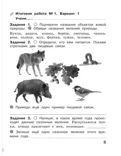 Окружающий мир. Итоговые работы. 2 класс 19