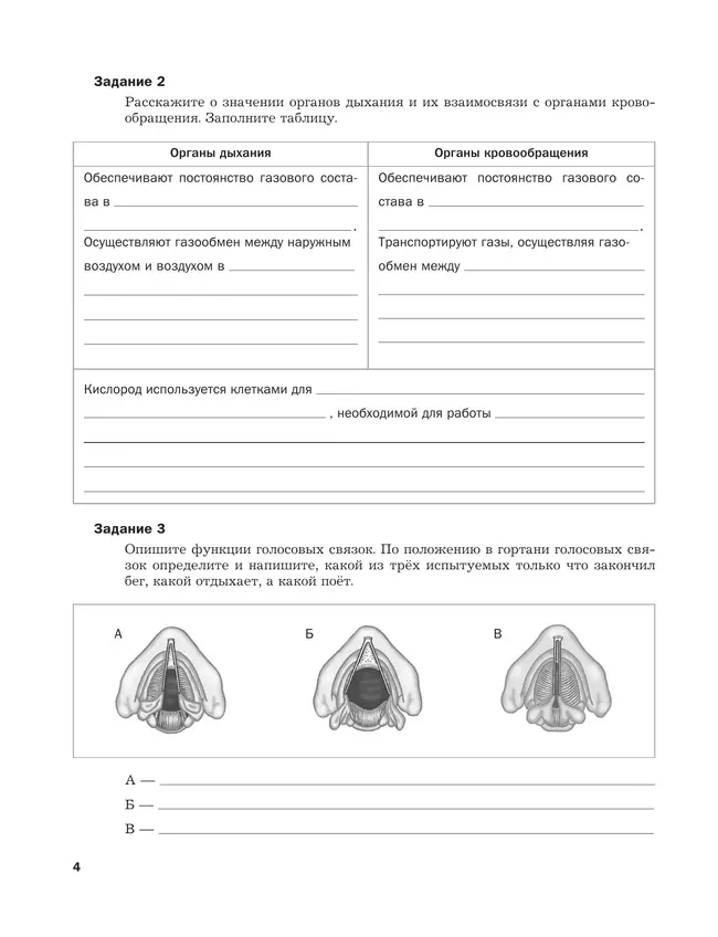 Биология. 8 класс. Рабочая тетрадь. В 2 ч. Часть 2 2