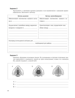 Биология. 8 класс. Рабочая тетрадь. В 2 ч. Часть 2 2