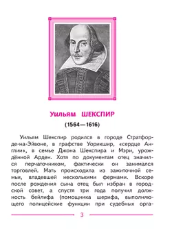 Литература. 9 класс. Учебное пособие. В 6 ч. Часть 6 (для слабовидящих обучающихся) 15