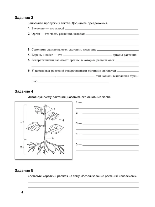 Биология. 6 класс. Рабочая тетрадь. В 2 ч. Часть 1 13 Биология. 6 класс. Рабочая тетрадь. В 2 ч. Часть 1 13
