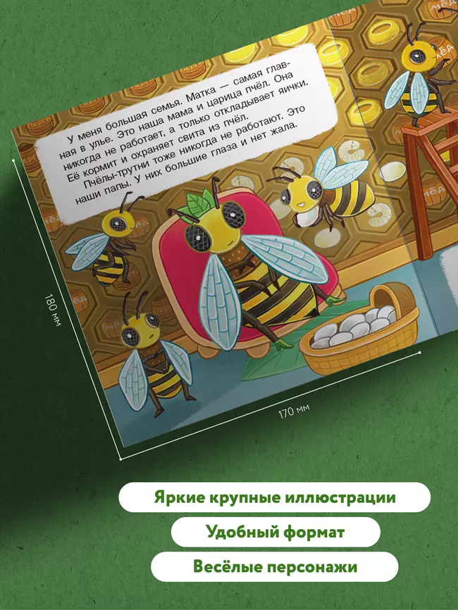 В гостях у пчёлки Жужи 1 В гостях у пчёлки Жужи 1