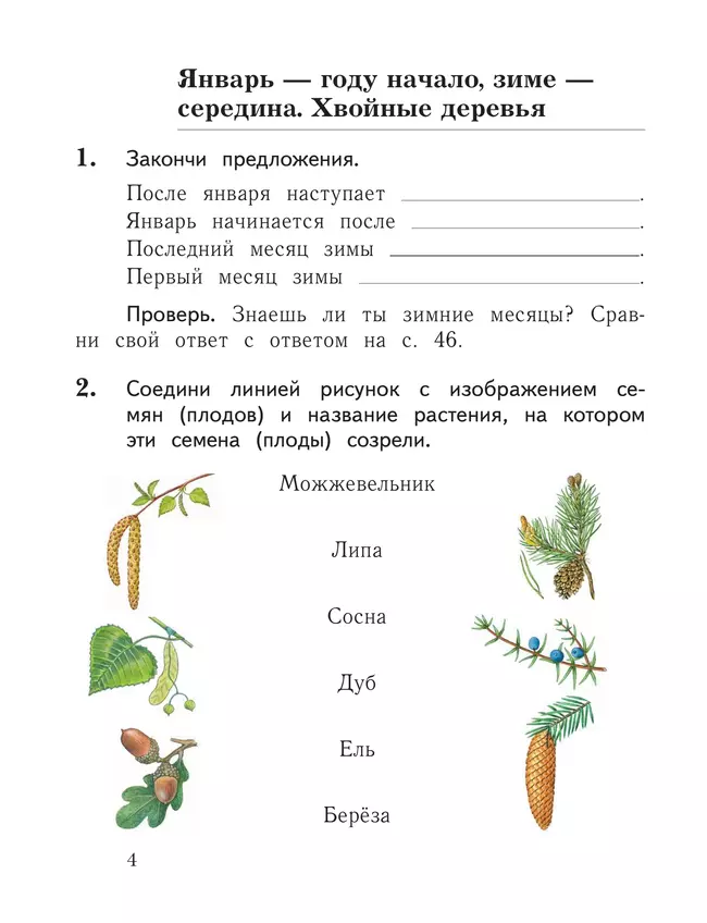 Окружающий мир. 1 класс. Тетрадь для проверочных работ. В 2 ч. Часть 2 29