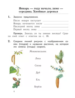 Окружающий мир. 1 класс. Тетрадь для проверочных работ. В 2 ч. Часть 2 29