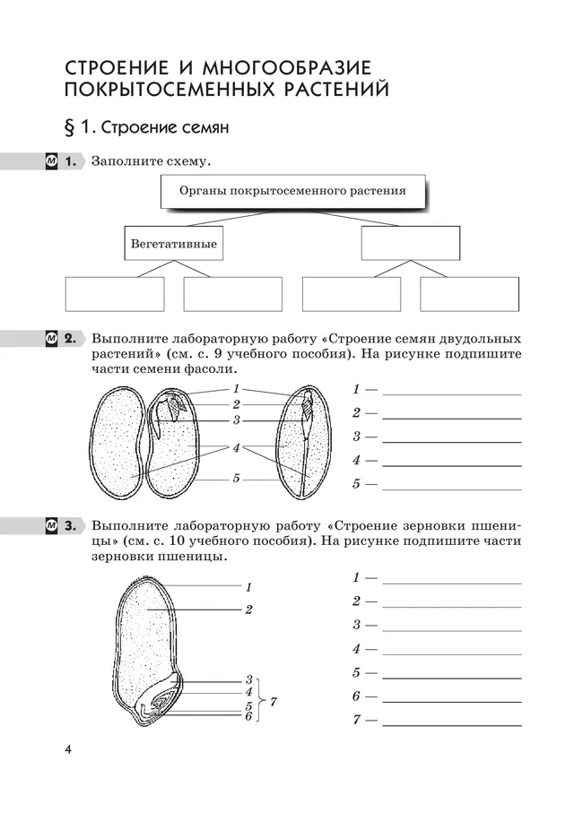 Биология. 6 класс. Многообразие покрытосеменных растений. Рабочая тетрадь с тестовыми заданиями ЕГЭ 33 Биология. 6 класс. Многообразие покрытосеменных растений. Рабочая тетрадь с тестовыми заданиями ЕГЭ 33